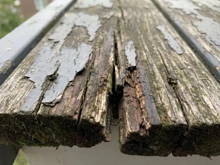 Close-up of rotted balcony planks with peeling grey paint and crumbling wood