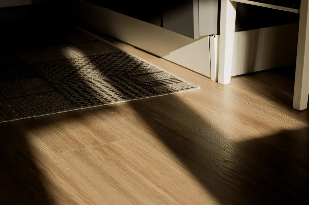 Natural light and shadow cast across a warm light wood floor with a dark rug edge