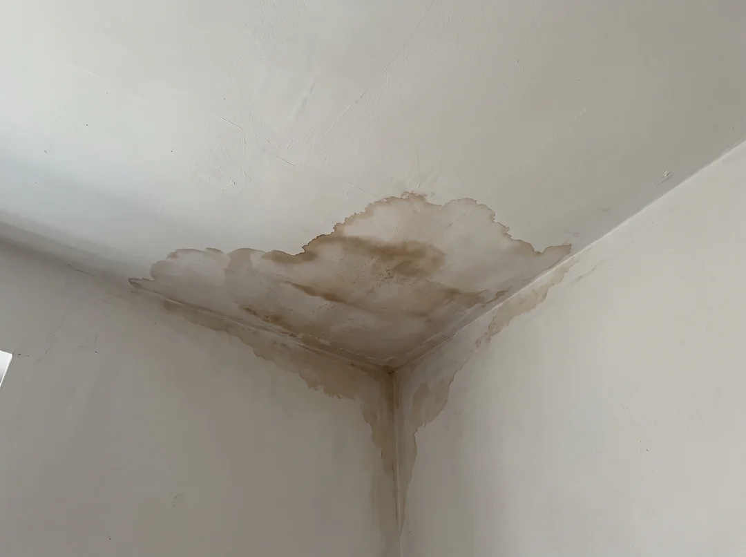 Tache d'eau brunâtre qui s'étend sur un plafond blanc jusqu'au coin du mur