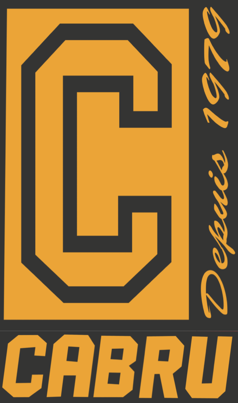 Pavage Cabru Inc.